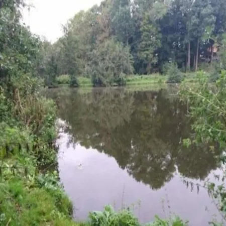 דירה In Damgarten