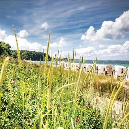 In Damgarten * ריבניץ-דאמגארטן