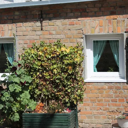 Apartment Pleasant In Damgarten With Garden And Terrace *